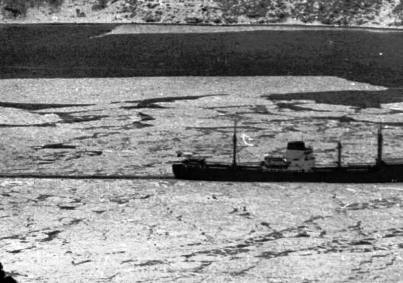 1954 - İstanbul'da yaşanan büyük kış mevsimi 46